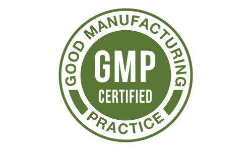 ReNew Dental Support GMP Certified